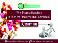 Why Pharma Franchise is boon for Small pharma Companies