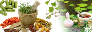 PCD Pharma In Ayurvedic and Herbal Products